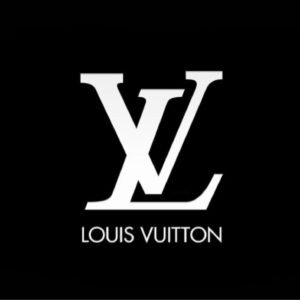 Louis Vuitton shoes
