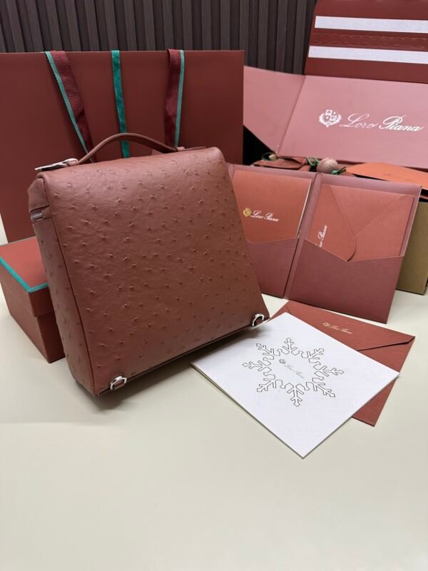 Loro piana Extra Pocket L23.5 Silver Buckle Item No.: FAI8511 Color: Red Brick Ostrich Leather - 图片 7