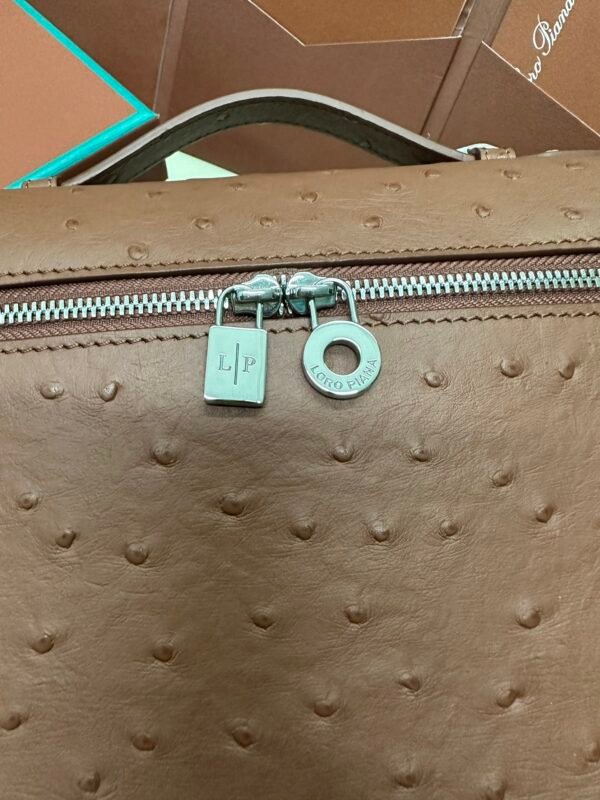 Loro piana Extra Pocket L23.5 Silver Buckle Item No.: FAI8511 Color: Red Brick Ostrich Leather - 图片 8