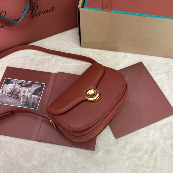 Loro piana saddle bag mini Color: red brown - 图片 9
