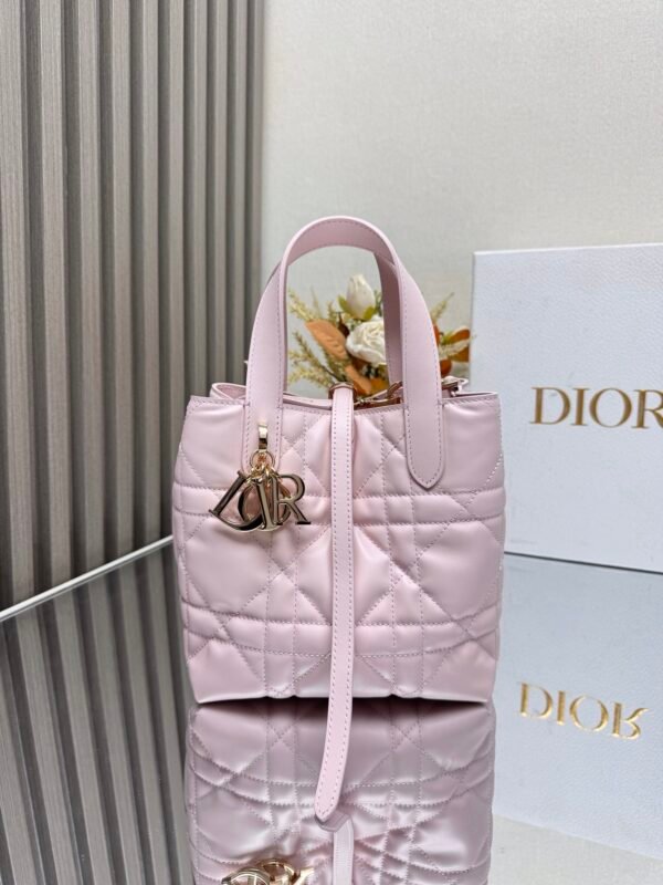 💋 This Toujours vertical handbag is a new product from the 2025 early spring ready-to-wear series - 图片 5